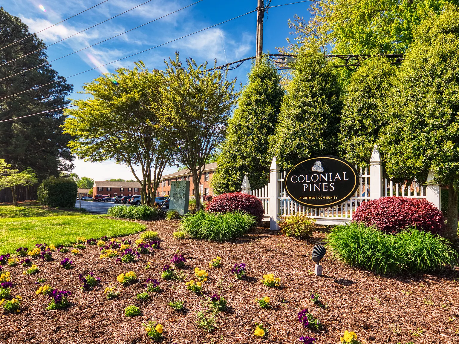 Colonial Pines — Photo 2