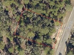 Undetermined, Ocklawaha, FL 32179