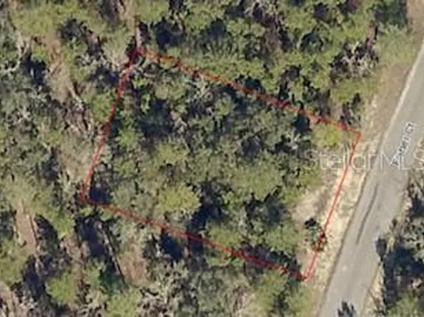 UNDETERMINED, OCKLAWAHA, FL 32179