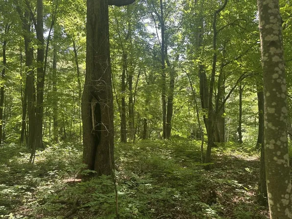 Lot 1 Becker Road, Elk Mound, WI 54739