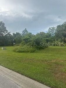 29523 Chapel Park Dr #16, Wesley Chapel, FL, 33543
