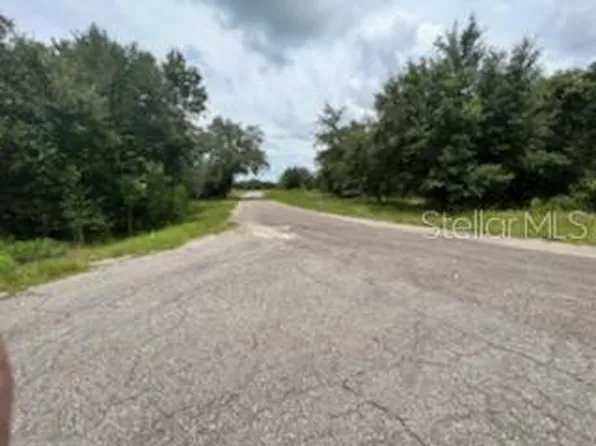 Guava Track Trl Lot 25, Ocklawaha, FL 32179