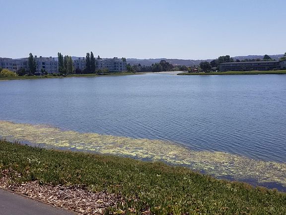 wide water behind the unit that has walking path. Speed boats allowed.