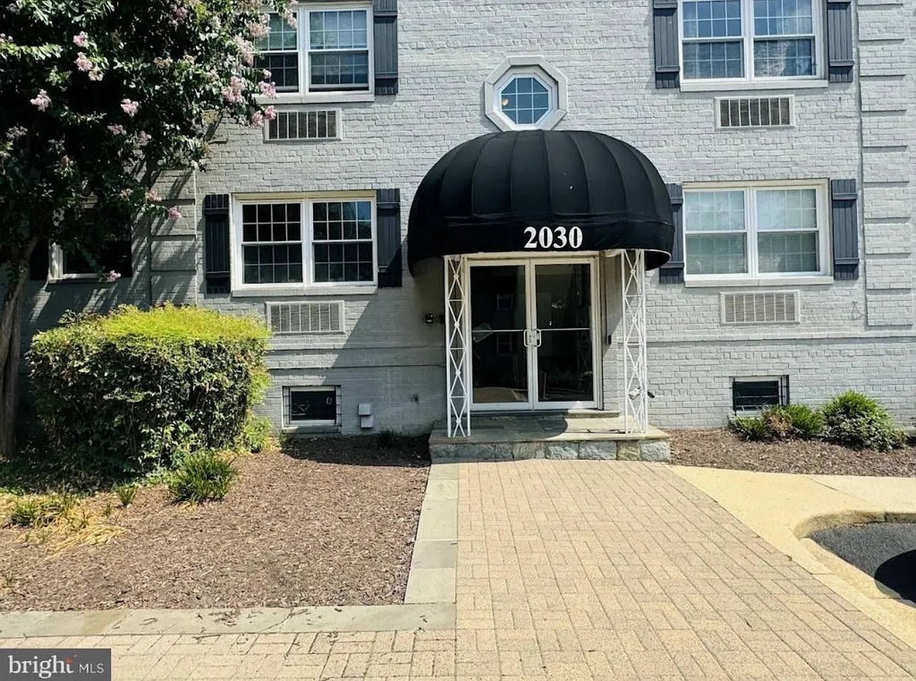 1 bed, 583 sqft, $2,000 — Photo 1