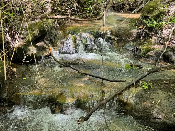 0 County Road 22, Waverly, AL 36879