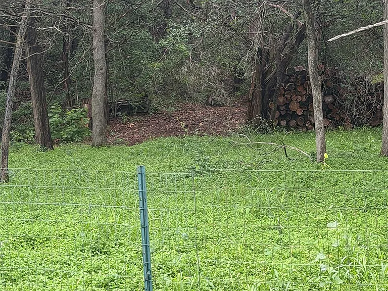 214 The Forest Rd — Photo 17