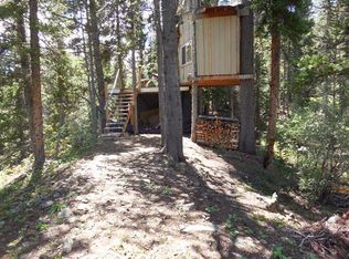 655 Buckeye Creek Rd, Leadville, CO 80461