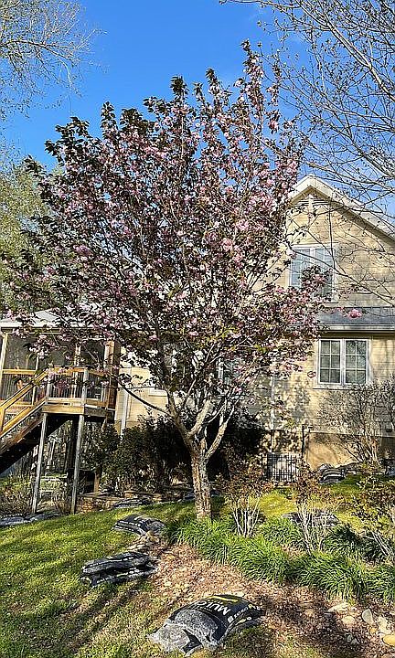 2nd image of 369 Ellis Rd
