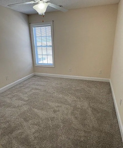 4205 Dudleys Grant Dr — Photo 11