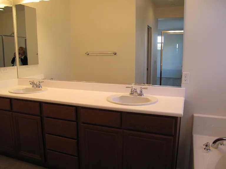 Master Double Vanity