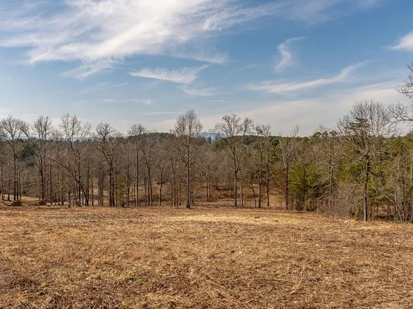 7 Arbor Creek Trl, Mineral Bluff, GA 30559