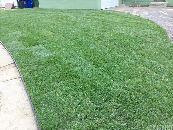 NEW SOD IN FRONT YARD