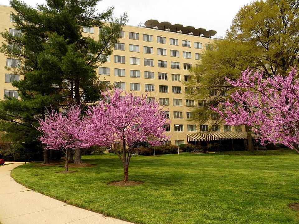 1st image of 6641 Wakefield Dr APT 807