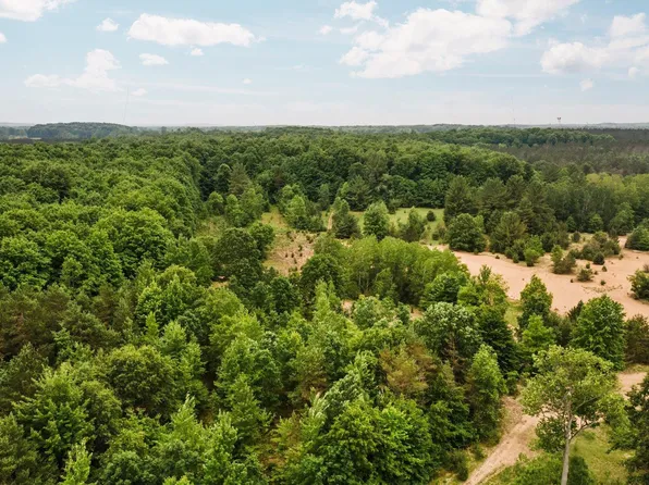 00 Cedar Creek, Fife Lake, MI 49633