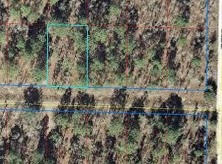 0 NE 16 Pl, Williston, FL 32696