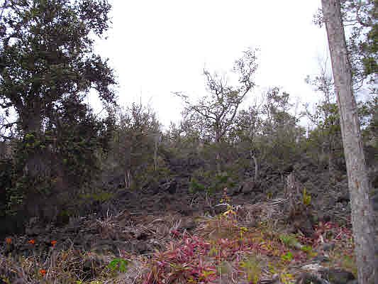 1st image of Leilani Pkwy Lot 13