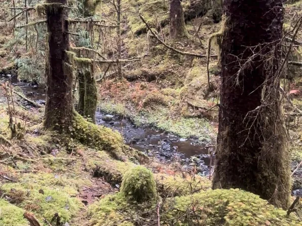 L7 B Coffman Loop #2, Coffman Cove, AK 99918