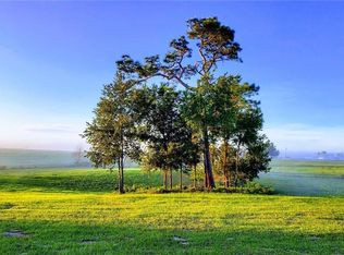 2061 NW 165th Court Rd, Dunnellon, FL 34432