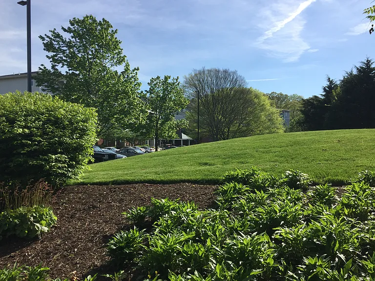 Forest Glen Senior Apartments 62+ — Photo 13