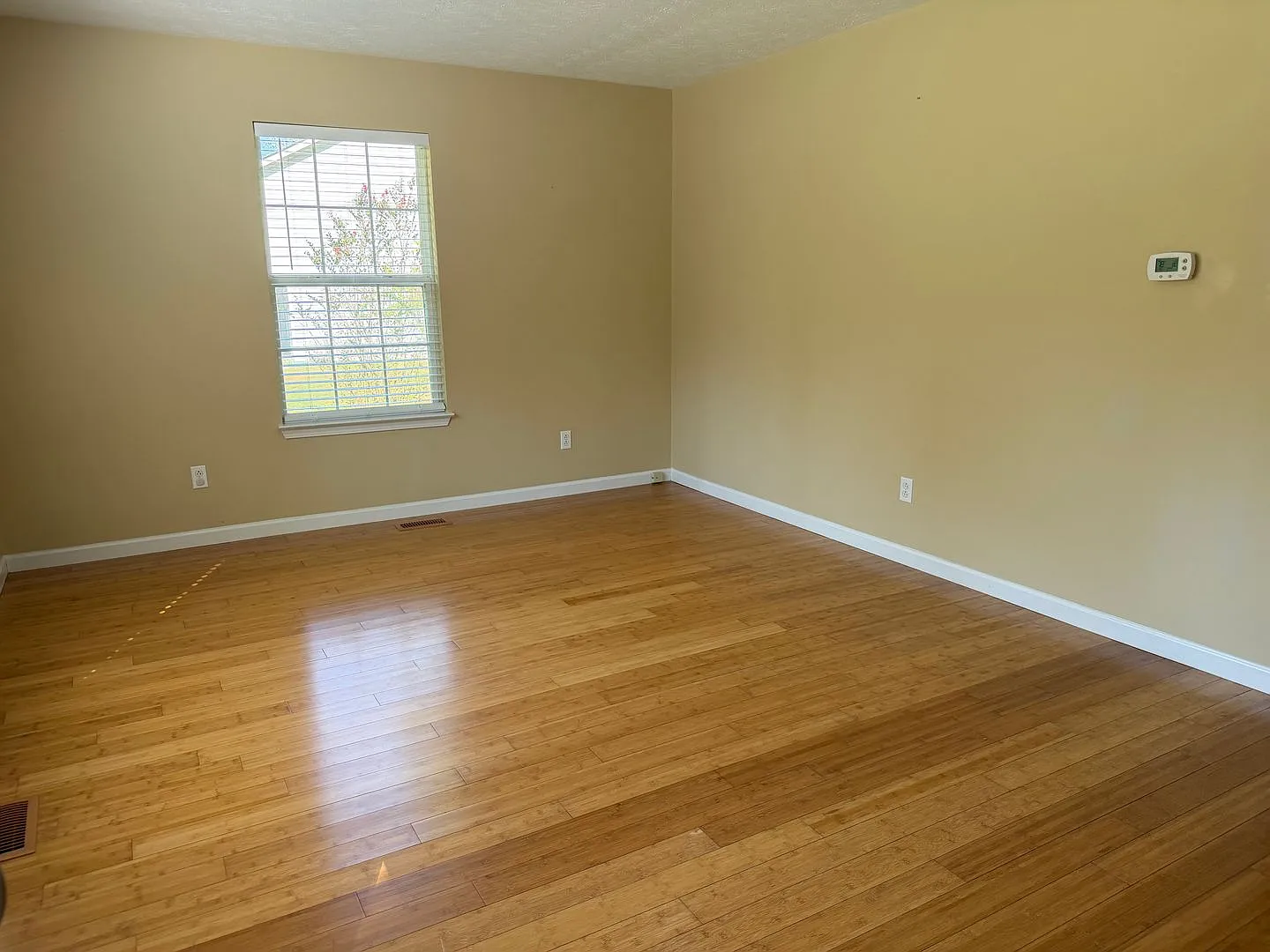 2 bed, 1.0 bath, 768 sqft, $1,500 — Photo 3