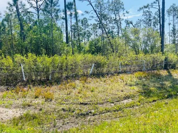 8942 County Road 386 N, Wewahitchka, FL 32465