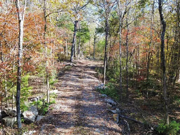 0 Mill Creek Rd #20, Warrior, AL 35180