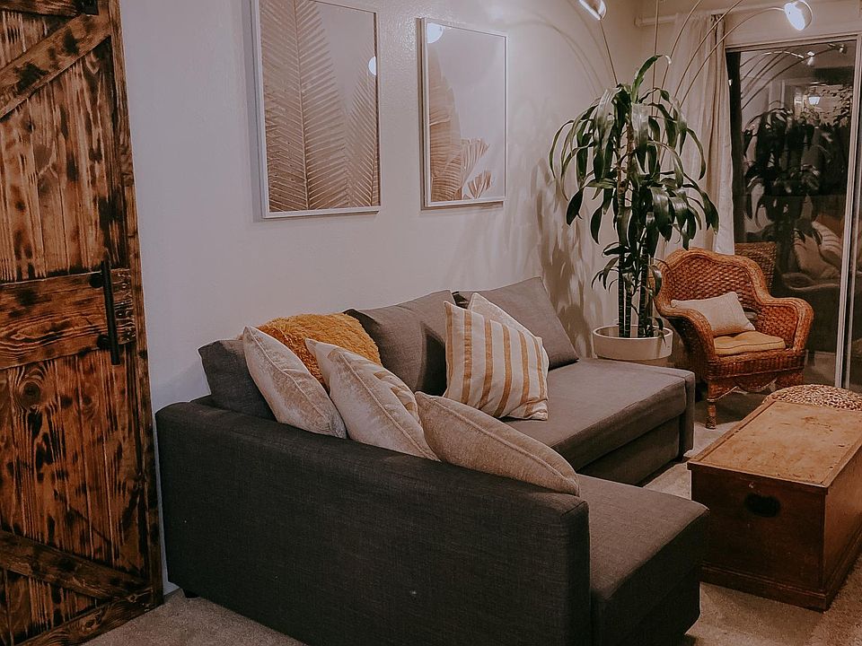 Living room with queen size sofa bed
