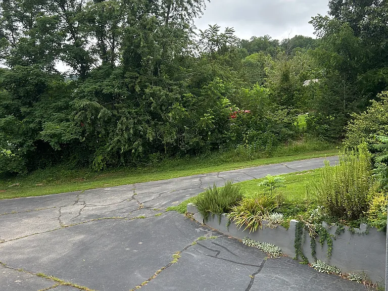 175 Youngs Cove Rd — Photo 28