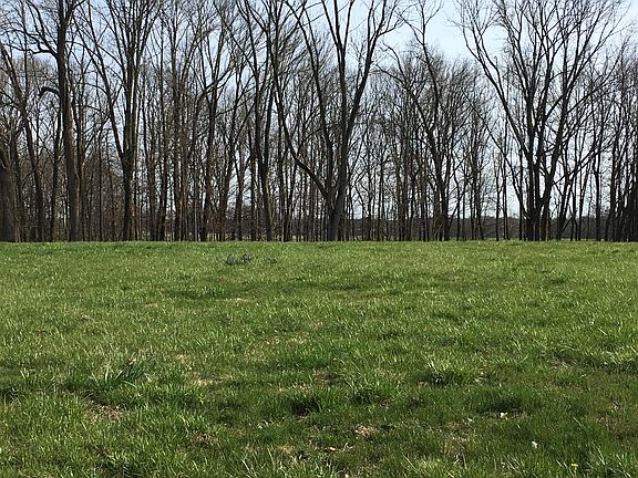 Cleared building site