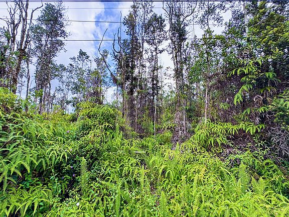 5th image of Plumeria Rd Lot 37