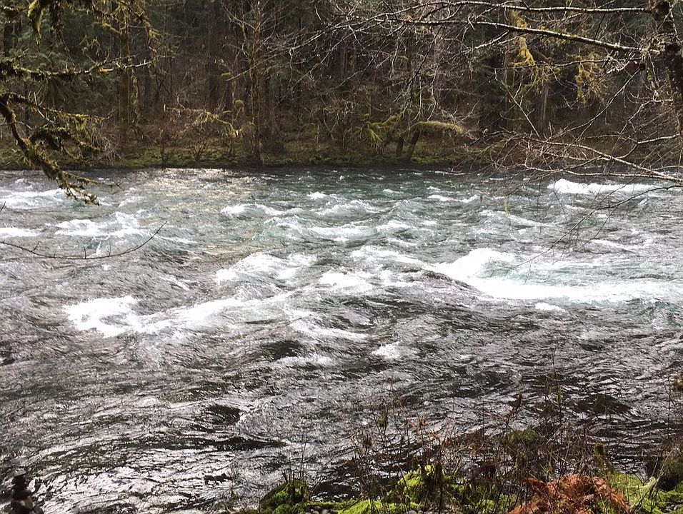 1st image of McKenzie River Dr