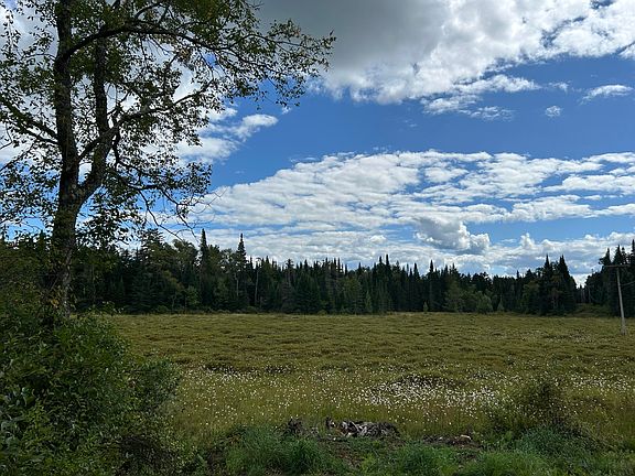 3rd image of 1406 Gray Wilmurt Rd