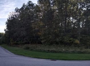 229 N Washington Ct, White Cloud, MI 49349