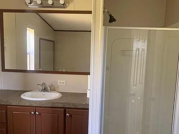 Primary Bathroom Vanity and Shower