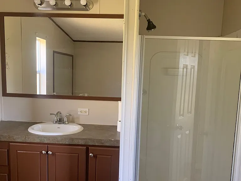 Primary Bathroom Vanity and Shower