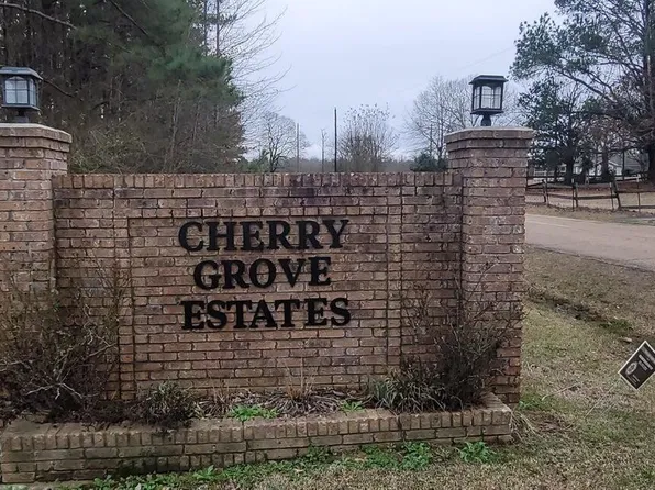 0 Edward Owens Dr, Terry, MS 39170