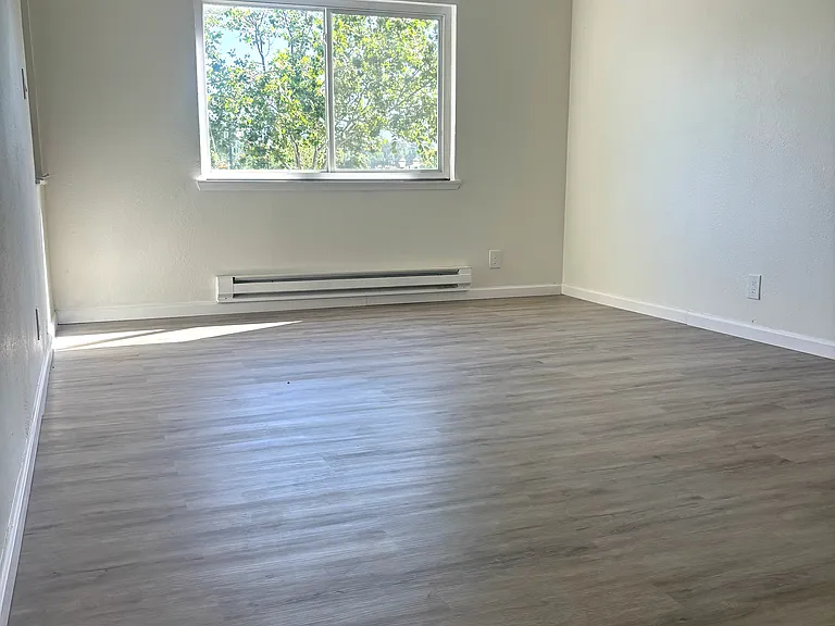 234 5th Ave #7 — Photo 16
