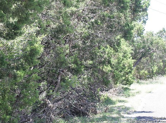 5th image of 10021 Scenic Hills Dr