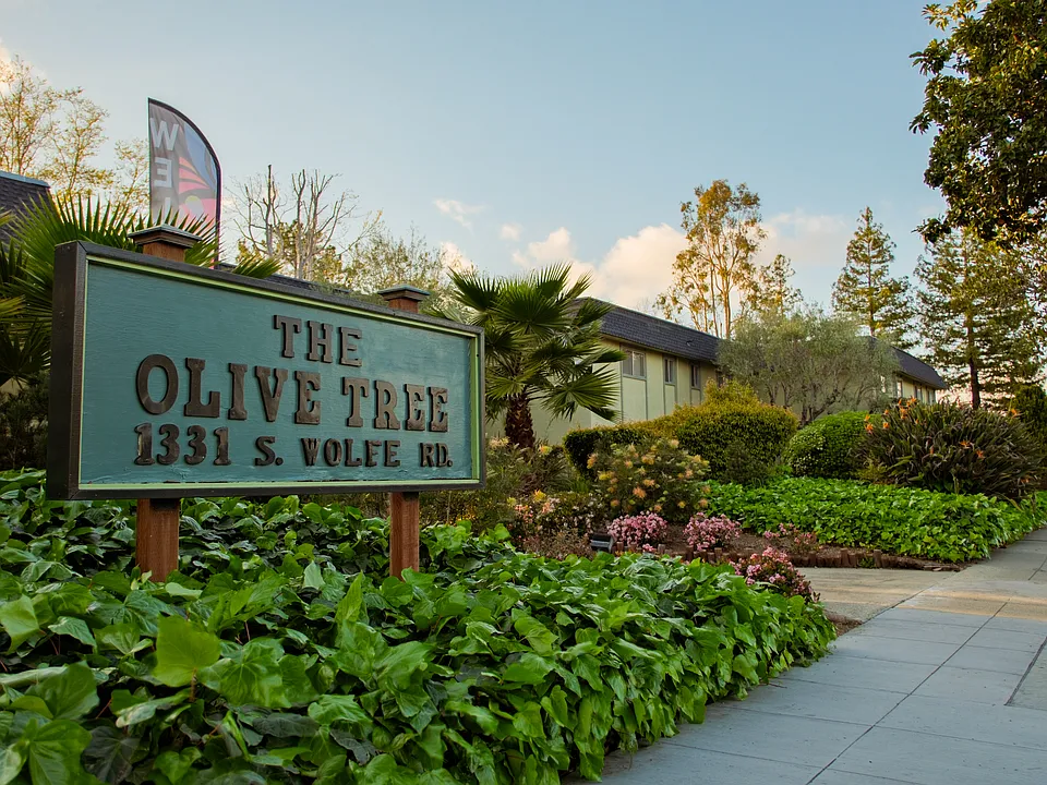 Olive Tree Apartments