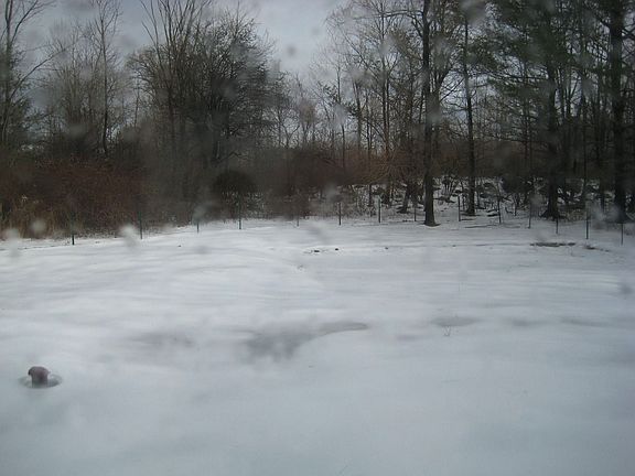 Private Level Back Yard