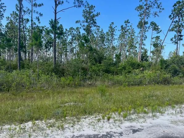 6 Chellsey St, Wewahitchka, FL 32465