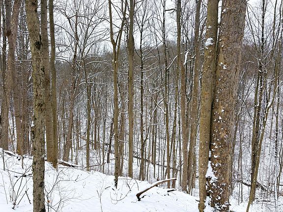 2nd image of 0 Morris Ridge Rd Tract 2