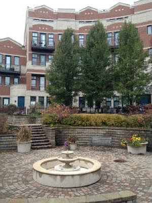 1st image of 7746 N Sheridan Rd #34