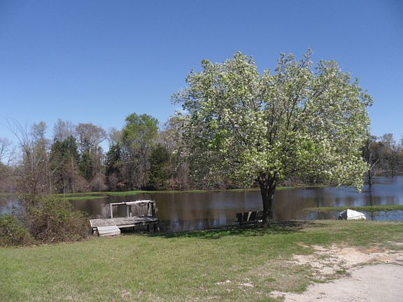 5th image of 898 County Road 1895