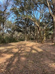 58 Seaside Ln LOT 58, Edisto Island, SC, 29438