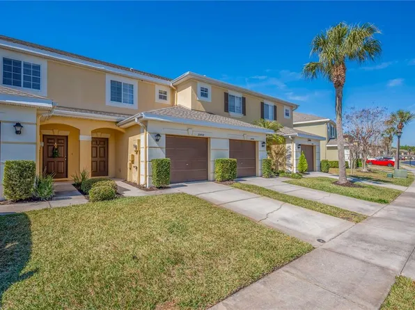 20408 Needletree Dr, Tampa, FL 33647