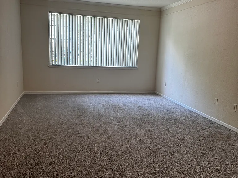17110 Carrington Park Dr #825 — Photo 9