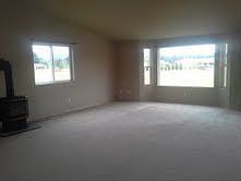 Gas heating stove in LR