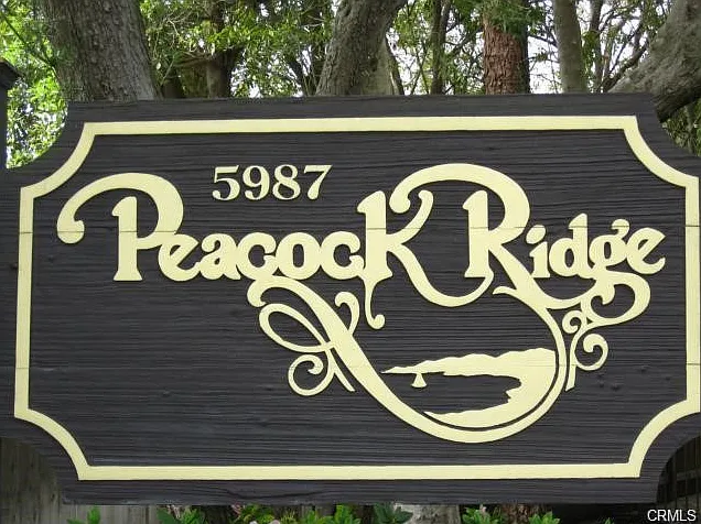 5987 Peacock Ridge Rd #212 — Photo 25