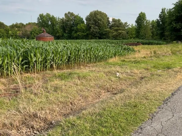 314 Palestine Rd, Newbern, TN 38059